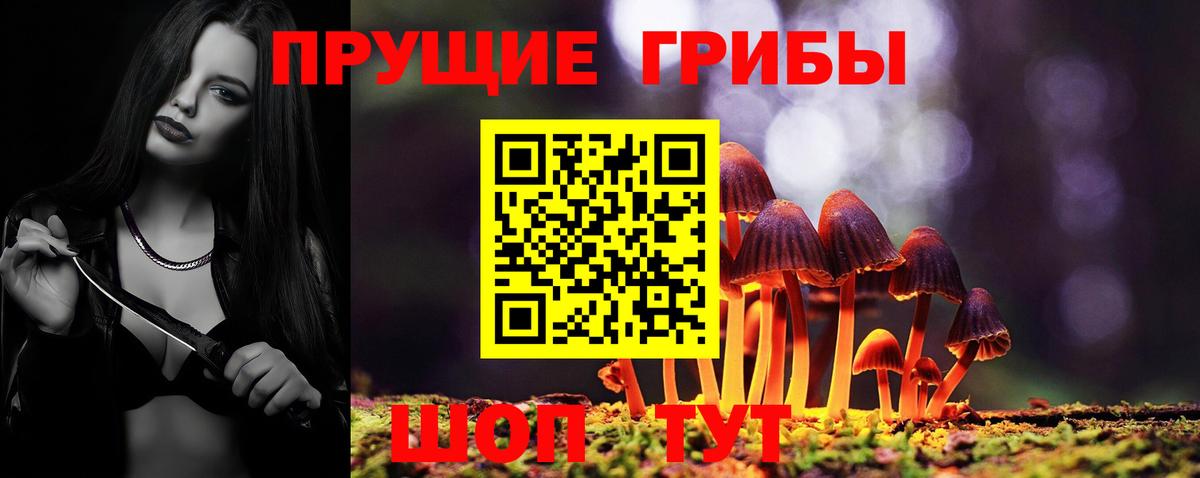 наркотики  Галлюциногенные грибы MAGIC MUSHROOMS  Вход с VPN  Галлюциногенные грибы мицелий  Грязи 