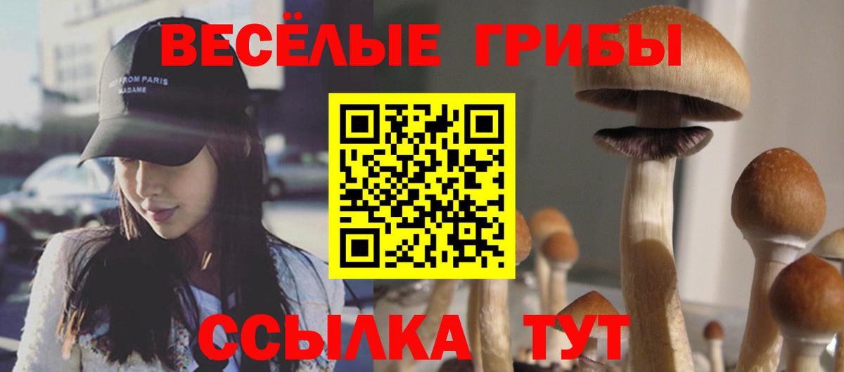 Галлюциногенные грибы прущие грибы Грязи